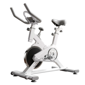 Bicicleta Spinning Pro Sport 6kg Resistencia Ajustable
