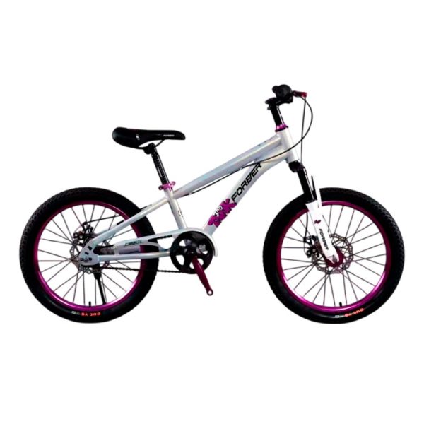 Bicicleta Infantil Aro 20