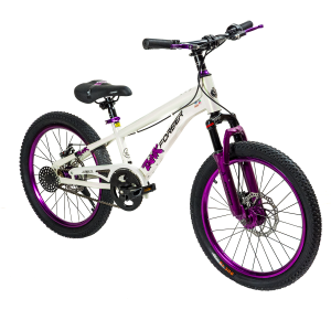 Bicicleta Infantil Aro 20