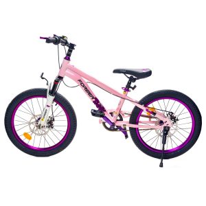 Bicicleta Infantil Aro 20
